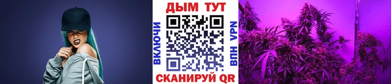 Хочу наркоту Черкесск Гашиш А ПВП МЕФ Псилоцибиновые грибы Конопля