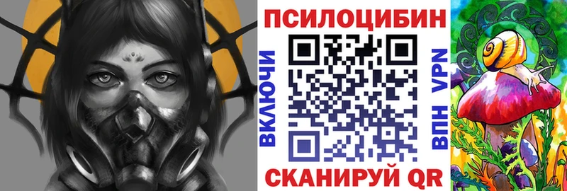цена наркотик Черкесск Псилоцибиновые грибы GOLDEN TEACHER