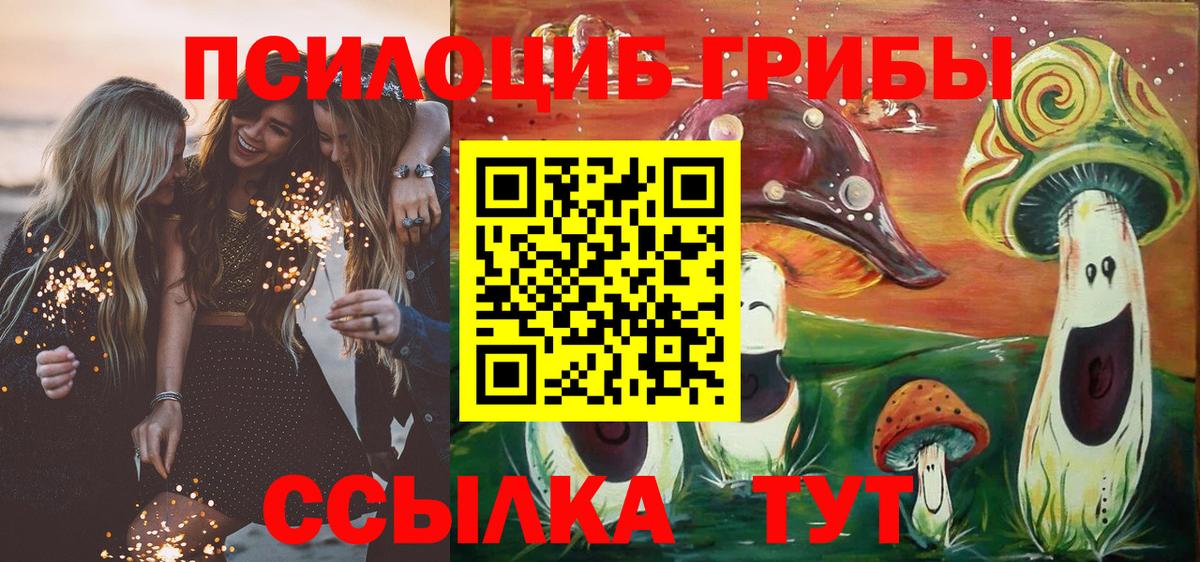 Черкесск  Галлюциногенные грибы мицелий  Вход с VPN  Псилоцибиновые грибы GOLDEN TEACHER 