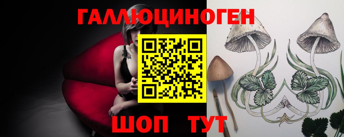 Галлюциногенные грибы GOLDEN TEACHER Черкесск